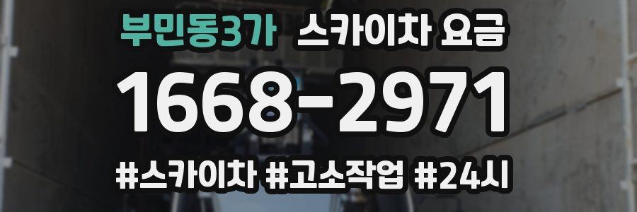 부민동3가 스카이차 요금