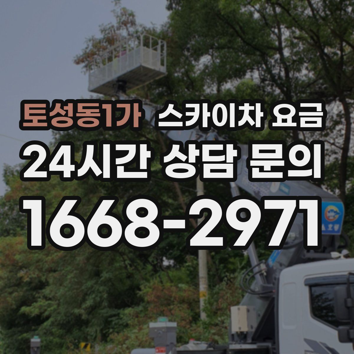 토성동1가 스카이차 요금