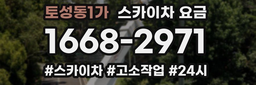 토성동1가 스카이차 요금