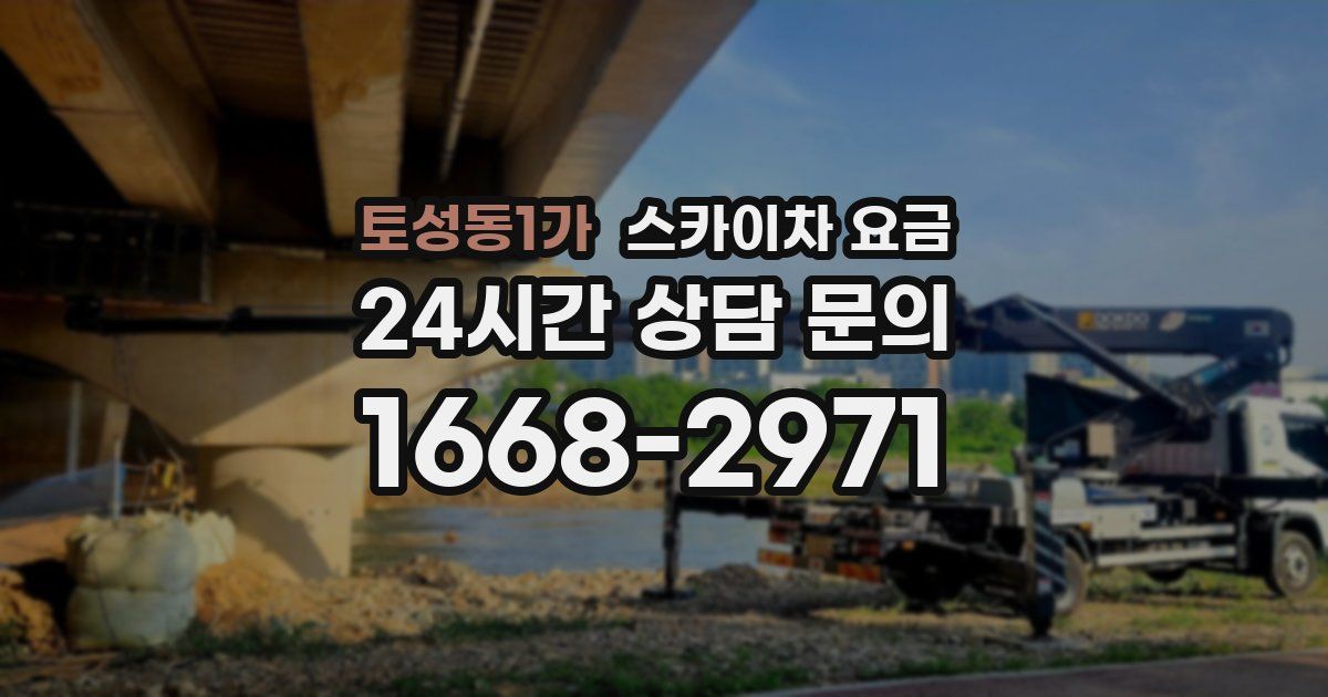 토성동1가 스카이차 요금
