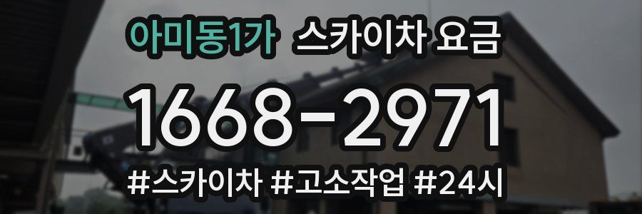 아미동1가 스카이차 요금