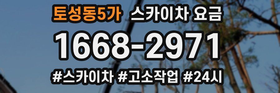 토성동5가 스카이차 요금
