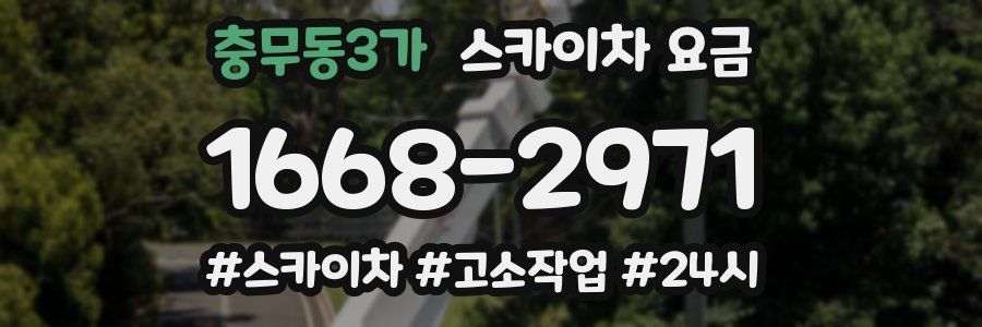 충무동3가 스카이차 요금
