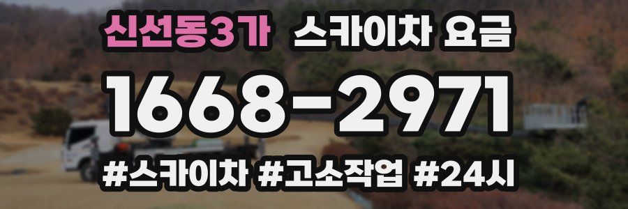 신선동3가 스카이차 요금