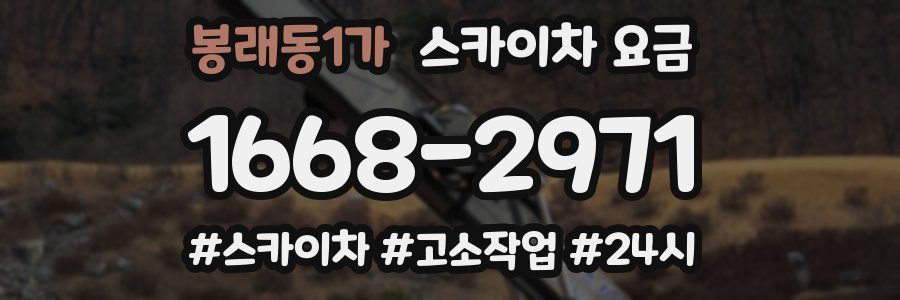 봉래동1가 스카이차 요금