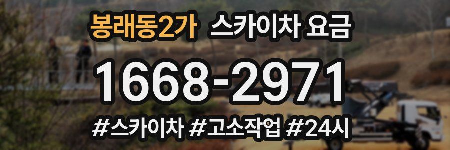 봉래동2가 스카이차 요금