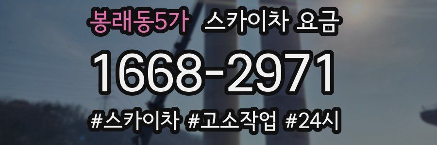 봉래동5가 스카이차 요금