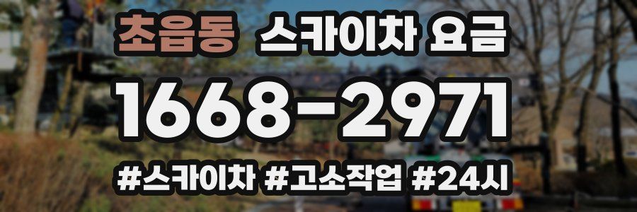 초읍동 스카이차 요금