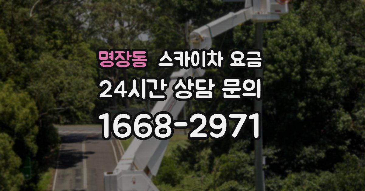 명장동 스카이차 요금