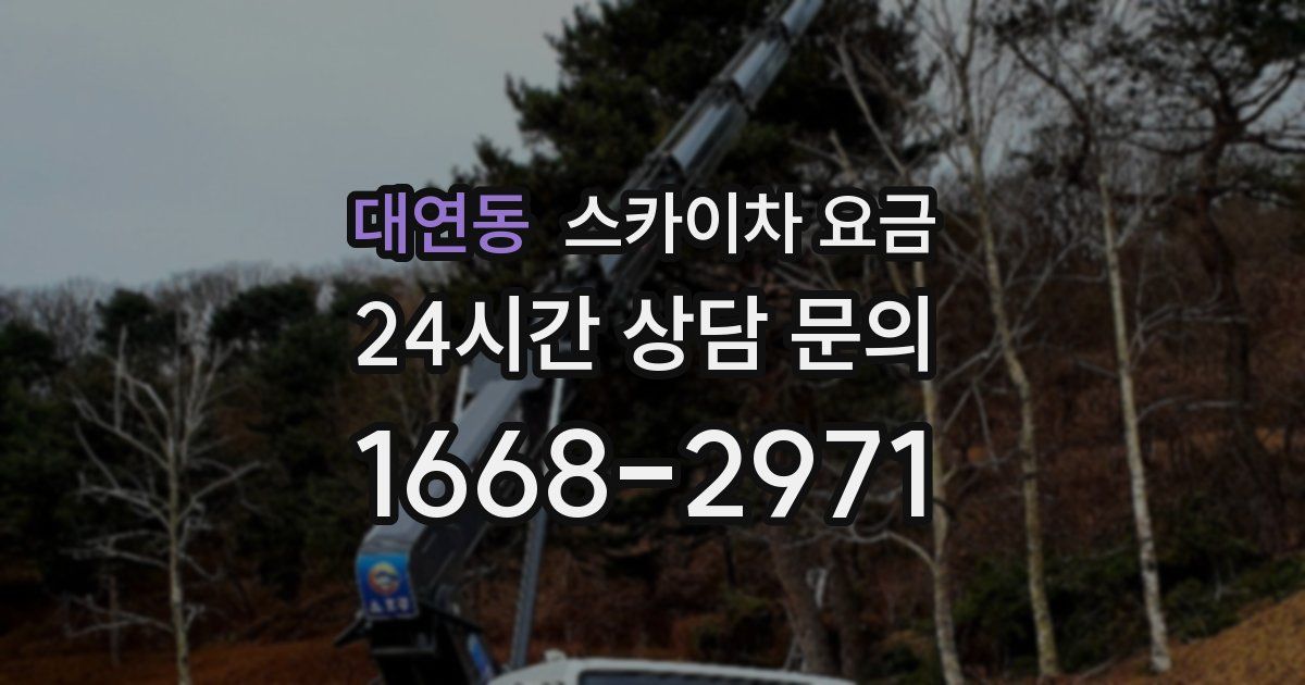 대연동 스카이차 요금