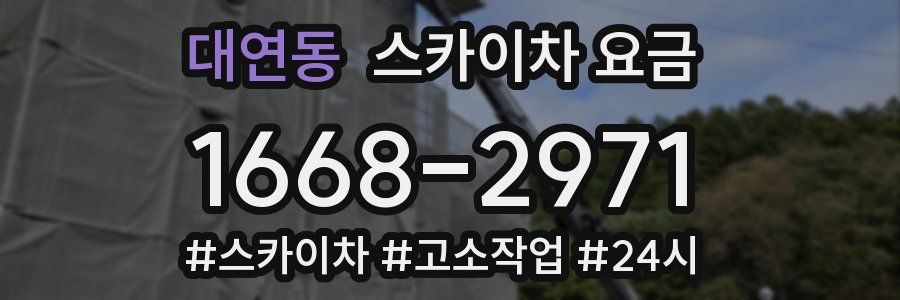 대연동 스카이차 요금