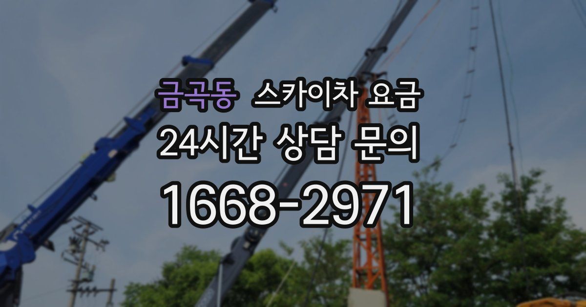 금곡동 스카이차 요금