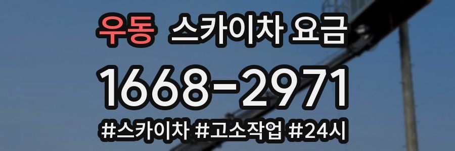 우동 스카이차 요금