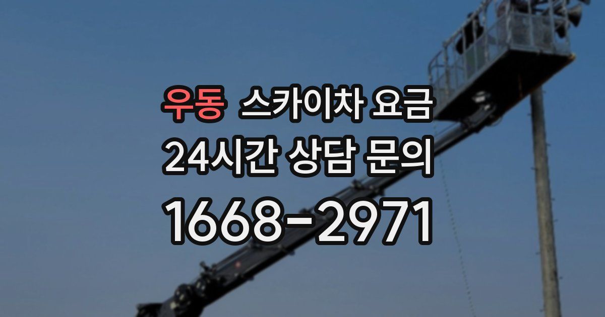 우동 스카이차 요금