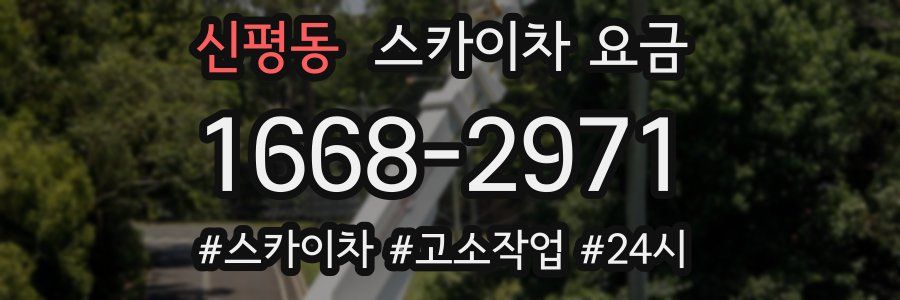 신평동 스카이차 요금
