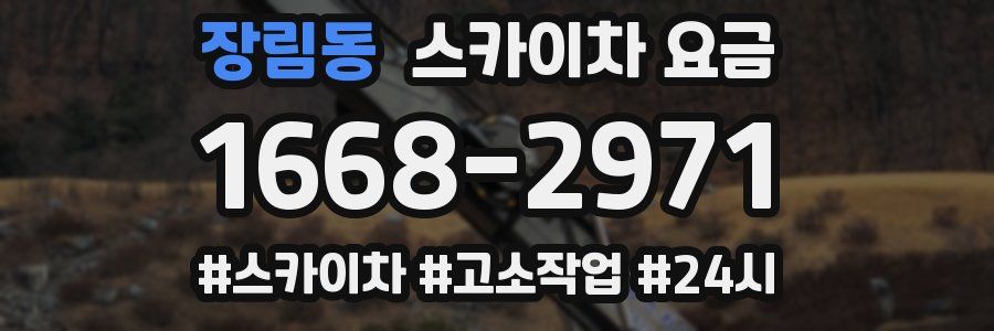 장림동 스카이차 요금