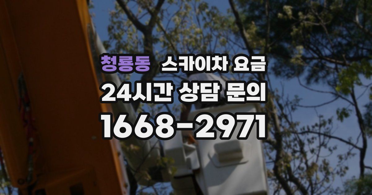 청룡동 스카이차 요금
