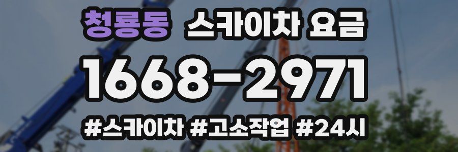 청룡동 스카이차 요금