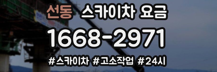 선동 스카이차 요금