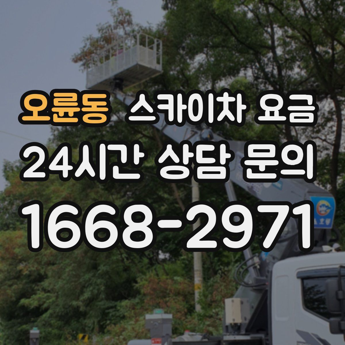 오륜동 스카이차 요금