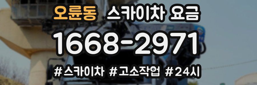 오륜동 스카이차 요금