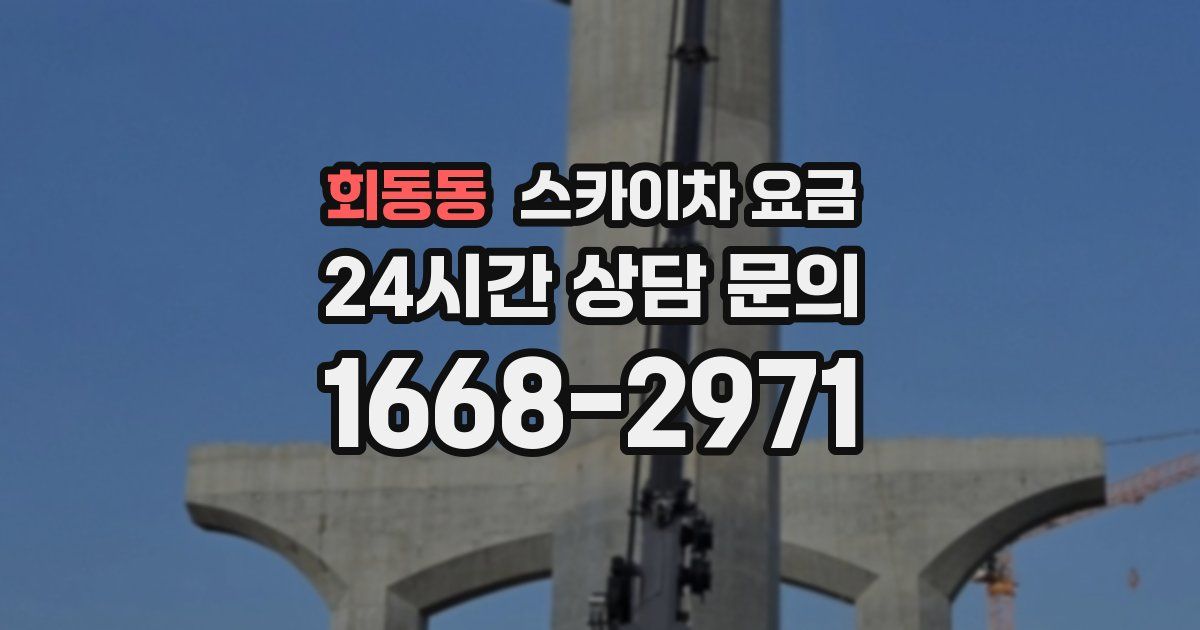 회동동 스카이차 요금