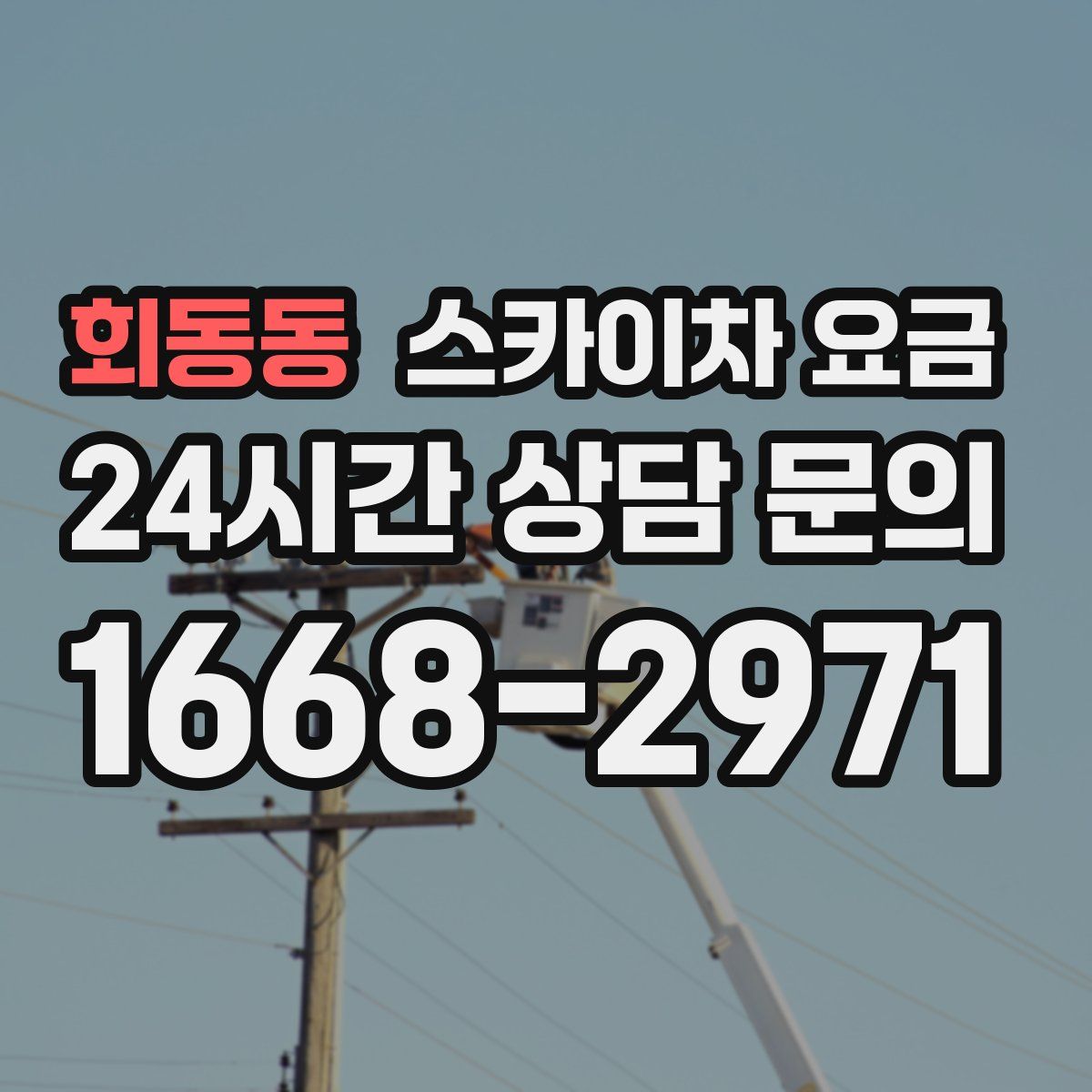 회동동 스카이차 요금