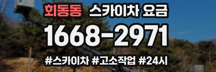 회동동 스카이차 요금