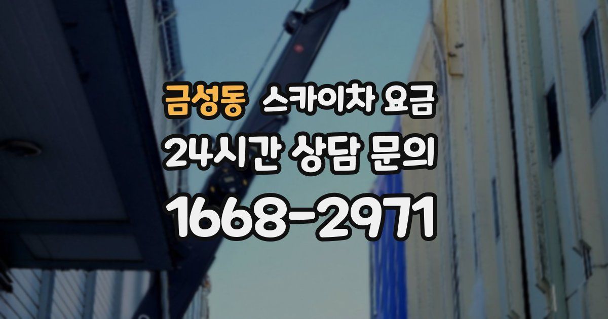 금성동 스카이차 요금