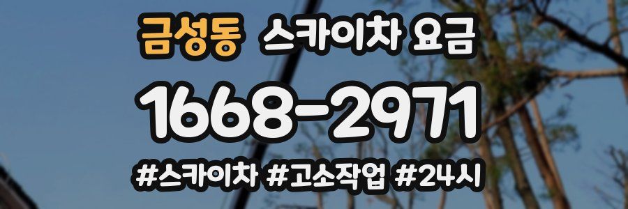 금성동 스카이차 요금
