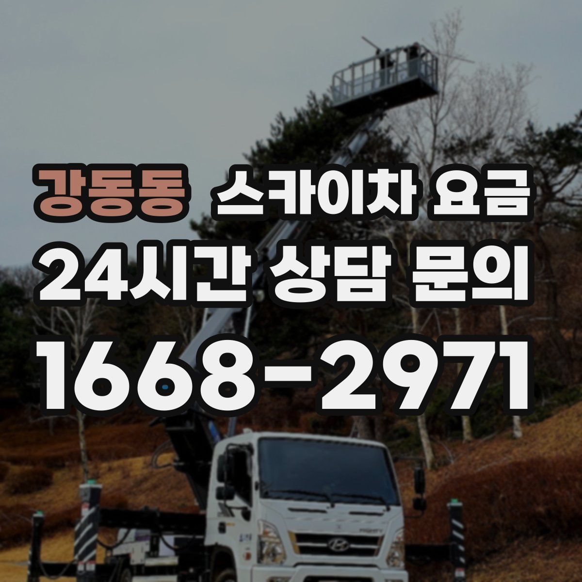 강동동 스카이차 요금