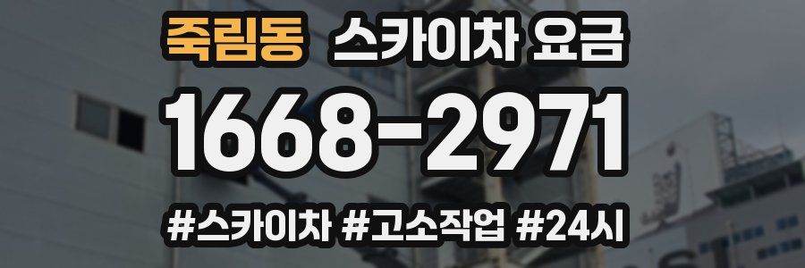 죽림동 스카이차 요금
