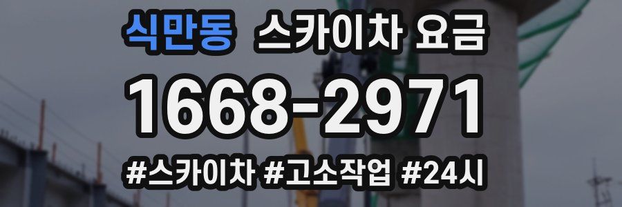 식만동 스카이차 요금