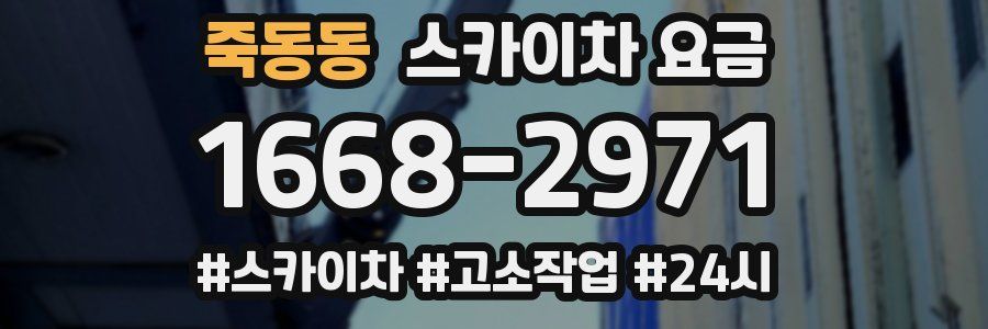 죽동동 스카이차 요금