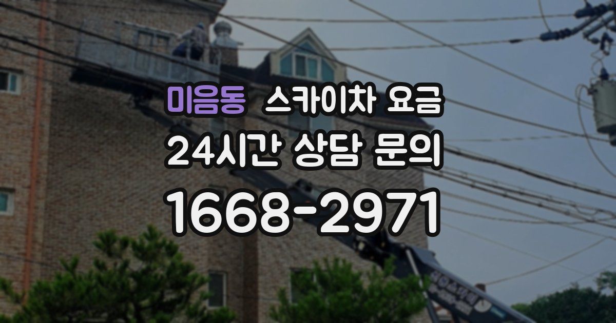 미음동 스카이차 요금