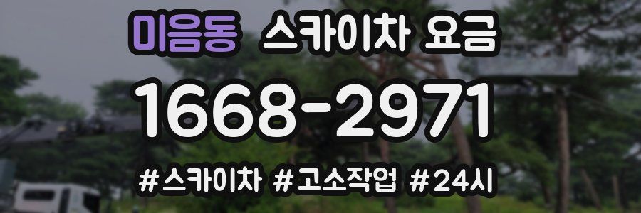 미음동 스카이차 요금