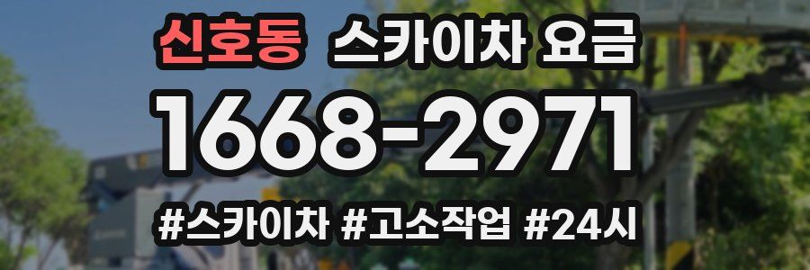 신호동 스카이차 요금