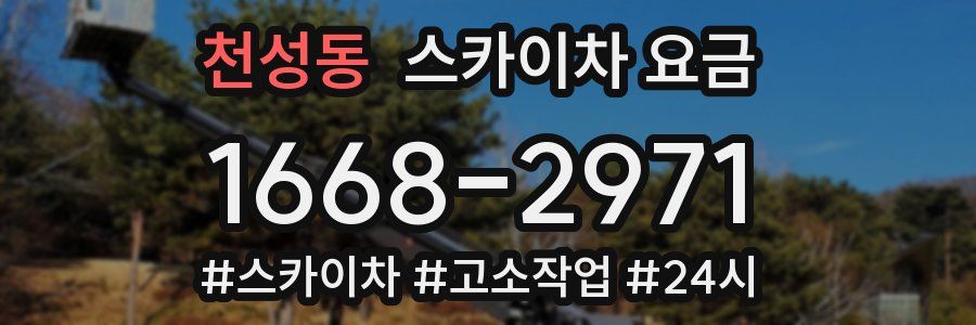 천성동 스카이차 요금