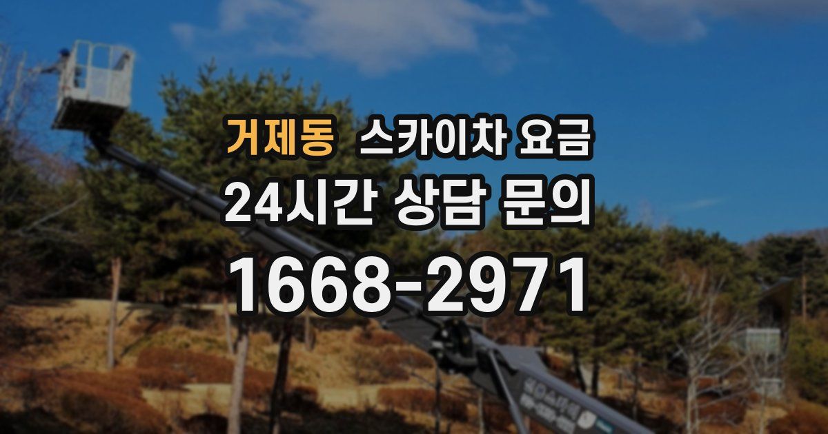 거제동 스카이차 요금