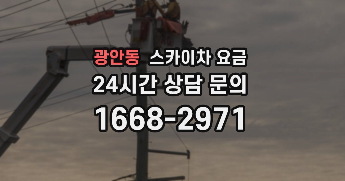광안동 스카이차 요금