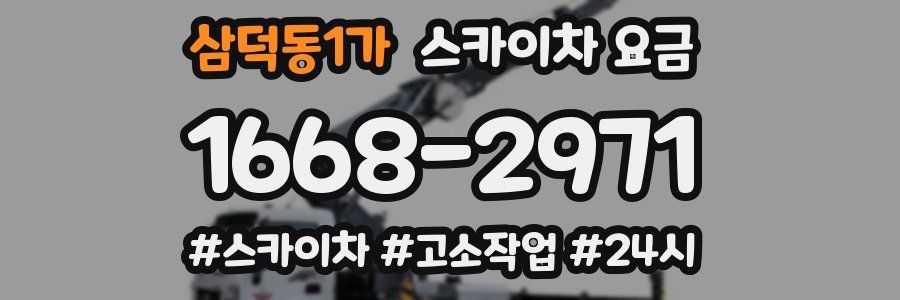 삼덕동1가 스카이차 요금