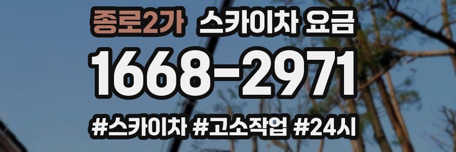 종로2가 스카이차 요금