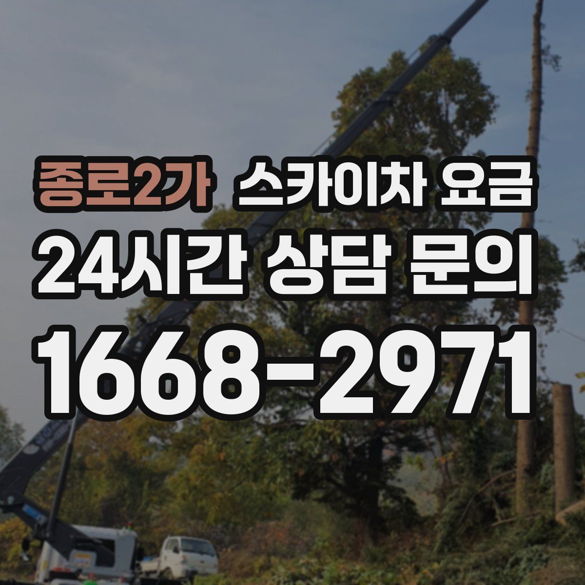 종로2가 스카이차 요금