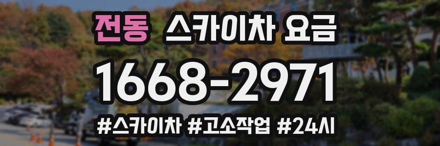 전동 스카이차 요금