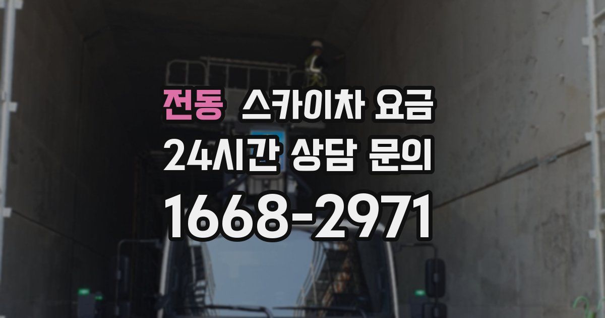 전동 스카이차 요금
