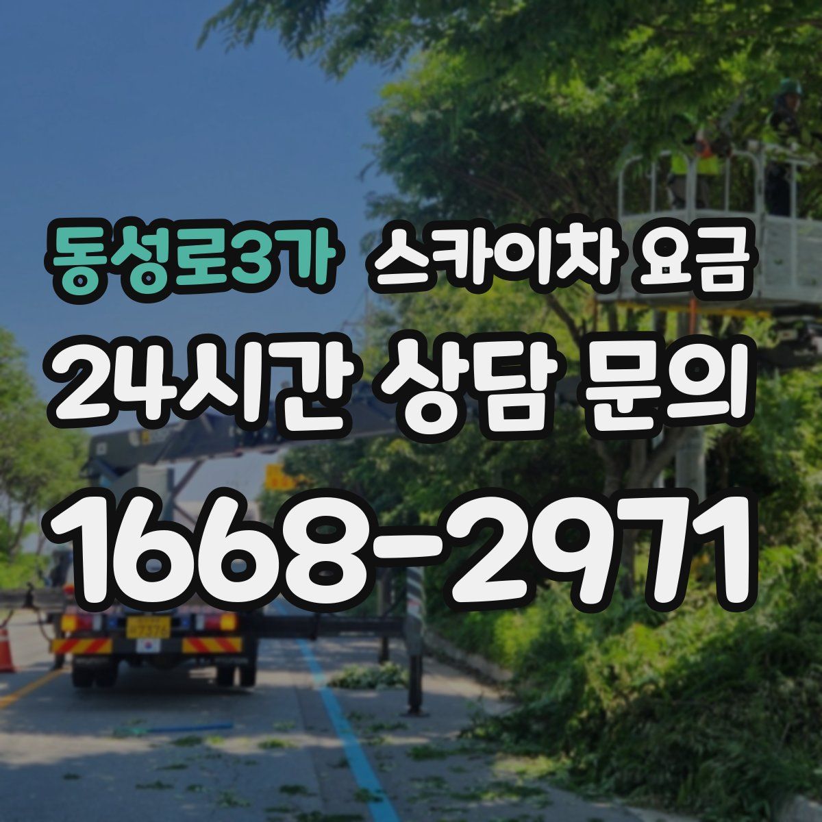 동성로3가 스카이차 요금