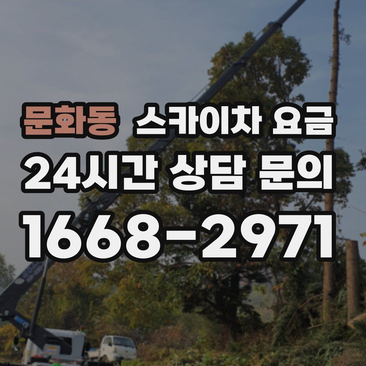 문화동 스카이차 요금