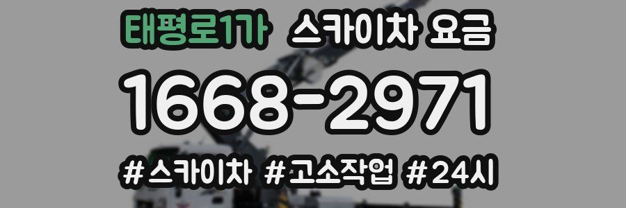 태평로1가 스카이차 요금