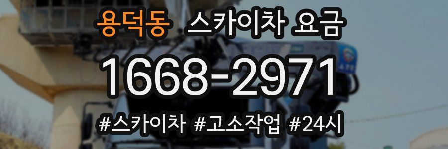 용덕동 스카이차 요금
