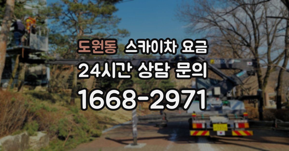 도원동 스카이차 요금